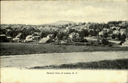 General View Of Liberty New York Postcard Postcard