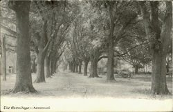 The Hermitage Savannah, GA Postcard Postcard