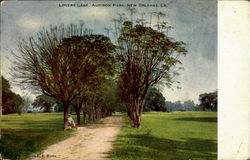 Lovers Lane, Audibon Park Postcard