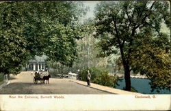 Near The Entrance Burnett Woods Cincinnati, OH Postcard Postcard