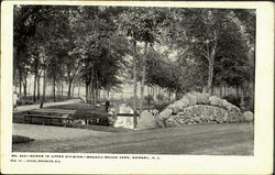 Scene In Upper Division, Branch Brook Park Newark, NJ Postcard Postcard