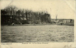 Pond In White's Park Concord, NH Postcard Postcard