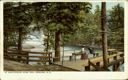 At Contoocook River Park Postcard