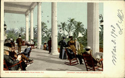 Veranda Of The Royal Palm Postcard