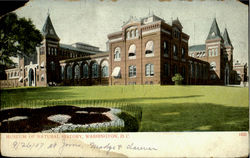 Museum Of Natural History Postcard