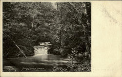 Alum Rock Park San Jose, CA Postcard Postcard