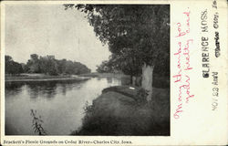 Brackett's Picnic Grounds On Cedar River Postcard