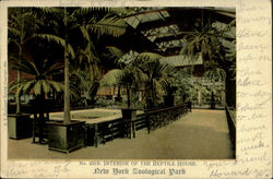 Interior Of The Reptile House, New North Zoological Park New York City, NY Postcard Postcard