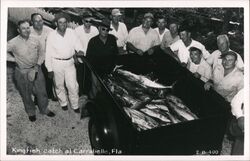 Kingfish Catch, Carrabelle, Florida Postcard Postcard Postcard