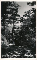 Observation Platform at the Pinnacle, Cumberland Gap Tennessee Postcard Postcard Postcard