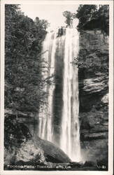 Toccoa Falls Waterfall Postcard