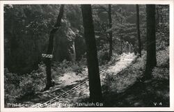 Trail Scene - Tallulah Gorge Postcard