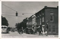 Street Scene Madisonville, TN - Stickley Drug Co Postcard