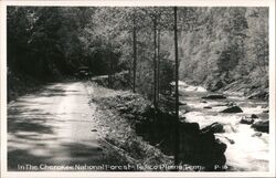 Cherokee National Forest Tellico Plains River Road Tennessee Postcard Postcard Postcard