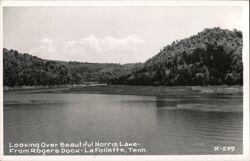 Norris Lake from Rogers Dock, La Follette Tennessee Postcard Postcard Postcard