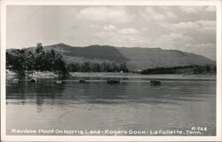 Rainbow Point, Norris Lake, Rogers Dock LaFollette, TN Postcard Postcard Postcard