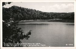 Norris Lake from Rogers Dock LaFollette, TN Postcard Postcard Postcard