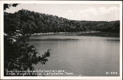 Norris Lake from Rogers Dock, LaFollette Tennessee Postcard Postcard Postcard