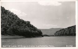 Norris Lake at Rogers Dock La Follette, TN Postcard Postcard Postcard