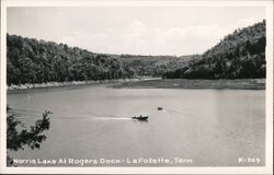 Norris Lake at Rogers Dock - LaFollette Tennessee Postcard Postcard Postcard