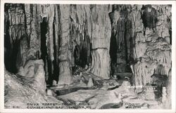 Onyx Forest, Cudjo's Cave, Cumberland Gap Postcard