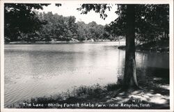 Shelby Forest State Park Lake near Memphis, TN Tennessee Postcard Postcard Postcard