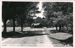 Entrance to Shelby Forest State Park Memphis, TN Postcard Postcard Postcard