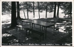 Picnic Area Shelby Forest State Park Near Memphis Tennessee Postcard Postcard Postcard