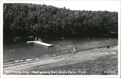 Montgomery Bell State Park Swimming Area Postcard