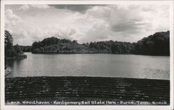 Lake Woodhaven, Montgomery Bell State Park Burns, TN Postcard Postcard Postcard