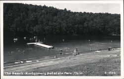 The Beach, Montgomery Bell State Park Postcard