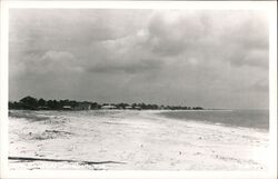 The Beach at Carrabelle, Florida Postcard