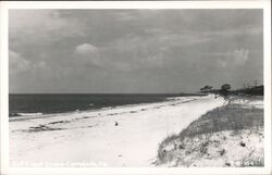 Gulf Coast Beach Scene, Carrabelle, Florida Postcard