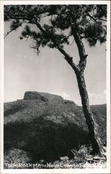 Table Rock Mountain Near Linville Falls, NC Postcard