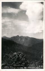 Linville Gorge Near Linville Falls, NC Postcard