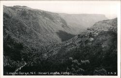 Linville Gorge, NC - Near Linville Falls Postcard