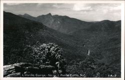 Linville Gorge Near Linville Falls Postcard