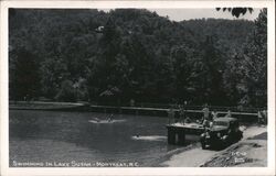 Swimming in Lake Susan Postcard