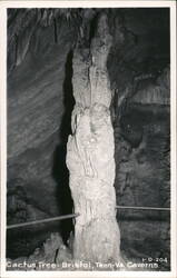 Cactus Tree Formation, Bristol, TN-VA Caverns Postcard