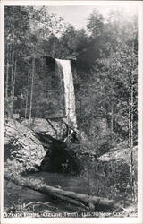 Ozone Falls Near Crossville, Tennessee Postcard Postcard Postcard