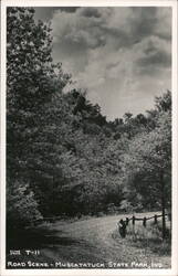 Muscatatuck State Park Road Scene North Vernon, IN Postcard Postcard Postcard