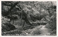 Vinegar Mills Trail #1, Muscatatuck State Park North Vernon, IN Postcard Postcard Postcard