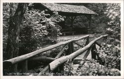 Trail in War Woman Dell, Rustic Bridge & Shelter Clayton, GA Postcard Postcard Postcard