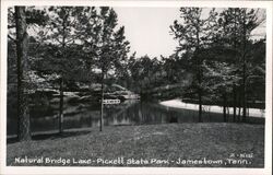 Natural Bridge Lake, Pickett State Park Jamestown, TN Postcard Postcard Postcard