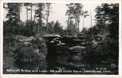 Natural Bridge and Lake, Pickett State Park Jamestown, TN Postcard Postcard Postcard