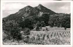 Grandfather Mountain, NC Linville, NC Postcard Postcard Postcard