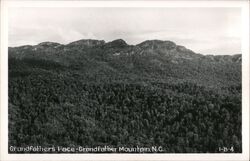 Grandfather's Face - Grandfather Mountain, NC Linville, NC Postcard Postcard Postcard