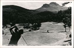 Golfer Teeing Off at Linville Golf Course Postcard