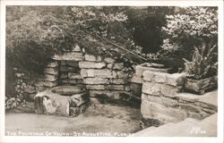 Fountain of Youth - St. Augustine, Florida Postcard