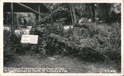 Fountain of Youth Old Anchor French Fleet 1564 St. Augustine Florida Postcard Postcard Postcard